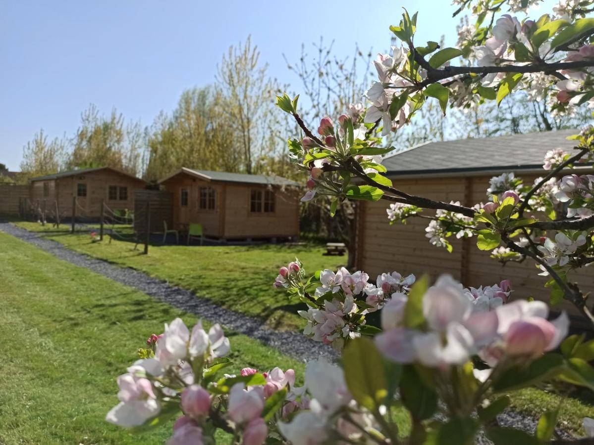 Gite Les Chalets Du Fliers Meubles De Tourisme Classes 2 Etoiles Berck Sur Mer Verton Exterior photo